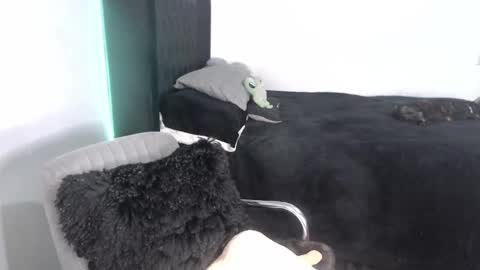 Proxy online show from September 2025 02:15:02 AM