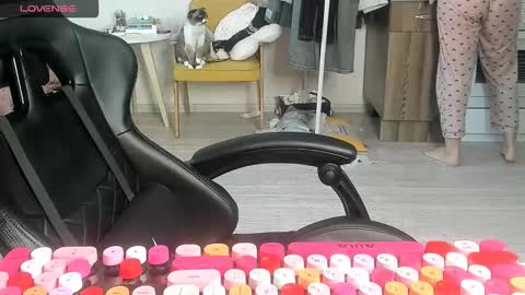 Alis online show from March 2026 07:15:01 AM