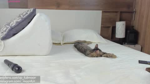  fullmoon online show from March 2026 07:28:01 PM