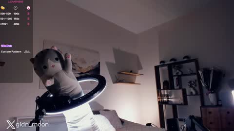 Snapshot of _golden_moon_ chatting on January 2025 10:44:02 PM Rina online show from January 2025 10:44:02 PM