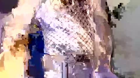 Snapshot of _incocknito_ chatting on December 2025 05:40:02 PM incocknito online show from December 2025 05:40:02 PM