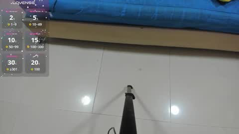 J A D E online show from November 2025 12:27:02 PM