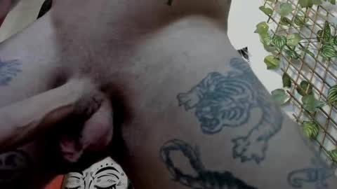 Snapshot of _layne chatting on February 2025 02:06:02 PM Layne online show from February 2025 02:06:02 PM