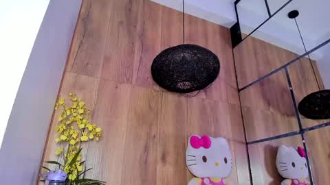 Snapshot of _littlelia chatting on January 2025 11:49:01 AM Anna online show from January 2025 11:49:01 AM