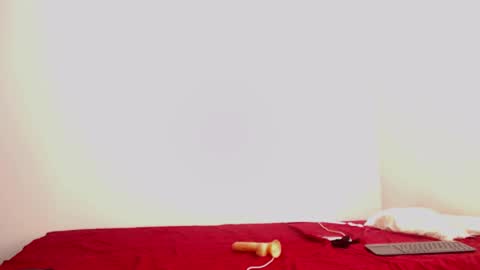 Snapshot of _loreana_ chatting on January 2025 02:56:02 PM _loreana_ online show from January 2025 02:56:02 PM