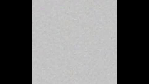 _maccaa_ online show from October 2025 11:31:01 AM