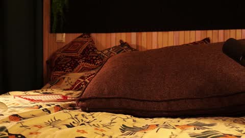 Snapshot of _northern_girl_ chatting on January 2025 03:10:01 PM Lady Jess from house of Dragonborns online show from January 2025 03:10:01 PM