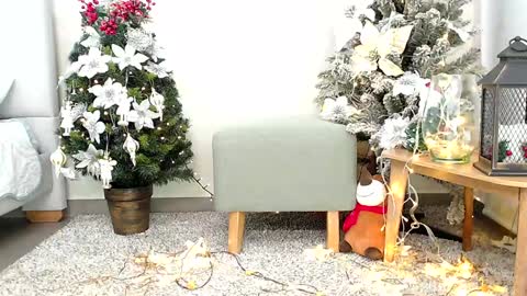 Sassy Girl online show from December 2024 06:33:01 PM