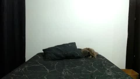 Sofia Parker online show from November 2025 03:55:01 PM