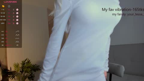 Snapshot of _your_tessa chatting on January 2025 11:22:02 AM Tessa - online show from January 2025 11:22:02 AM