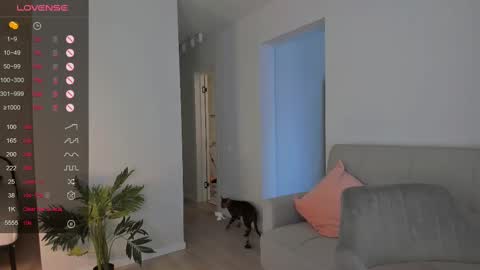 Snapshot of _your_tessa chatting on February 2025 09:58:02 AM Tessa - online show from February 2025 09:58:02 AM