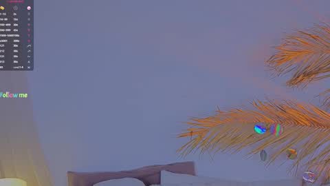 Ally online show from February 2025 03:27:01 PM