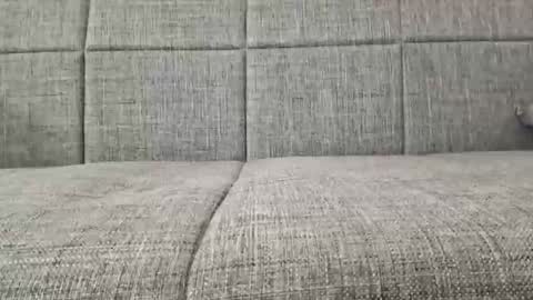 XXL online show from April 2026 03:39:01 AM