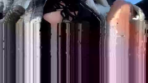 Snapshot of a_rae93 chatting on October 2025 04:19:01 PM a_rae93 online show from October 2025 04:19:01 PM