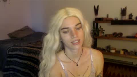 ally online show from December 2024 07:42:02 PM