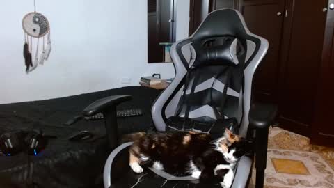 Snapshot of aarman_bannana chatting on January 2025 04:06:02 AM aarman online show from January 2025 04:06:02 AM