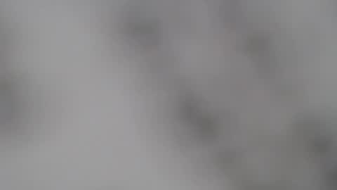 ABBY online show from February 2025 01:00:02 PM