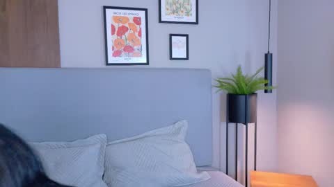 Snapshot of abiehils chatting on March 2026 11:49:01 AM abiehils online show from March 2026 11:49:01 AM