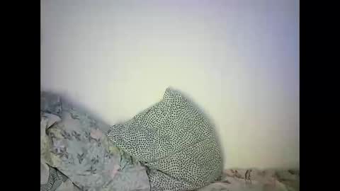 GoldenFish online show from February 2025 11:46:01 PM