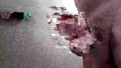 Snapshot of ac7492291 chatting on January 2026 02:33:02 PM ac7492291 online show from January 2026 02:33:02 PM