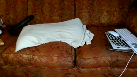 aCACiAs2022 online show from November 2025 07:07:02 PM