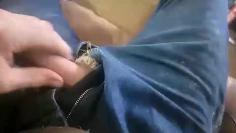 Snapshot of acemcdade chatting on January 2025 08:51:02 PM Ace online show from January 2025 08:51:02 PM