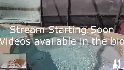 Adam And Eve online show from March 2025 03:27:01 PM