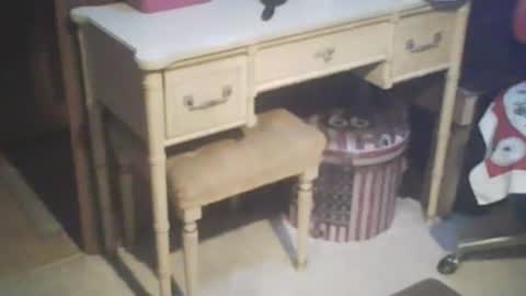 adamsny online show from February 2025 07:56:02 AM