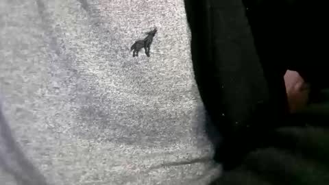 adarkvid420tj online show from February 2026 06:20:02 AM