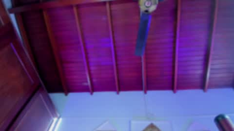 adeline online show from December 2024 06:24:02 AM