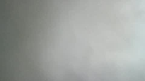 Snapshot of adi2019 chatting on January 2025 11:54:02 AM adi2019 online show from January 2025 11:54:02 AM