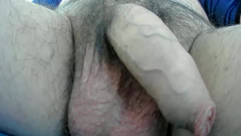 Snapshot of adi2019 chatting on January 2025 01:17:01 PM adi2019 online show from January 2025 01:17:01 PM