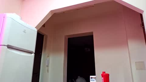 Snapshot of adonis_msc chatting on October 2025 03:56:02 PM Adonis online show from October 2025 03:56:02 PM