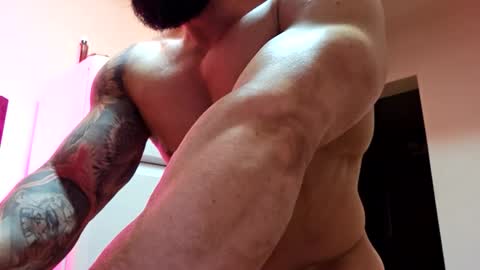 Snapshot of adonis_msc chatting on November 2025 01:47:02 PM Adonis online show from November 2025 01:47:02 PM