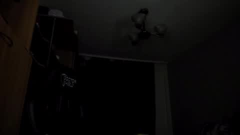 Snapshot of adonislovely chatting on December 2024 07:46:02 PM Adonis Steel online show from December 2024 07:46:02 PM