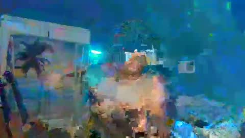 Adonis XDDDDDDDD Woody online show from December 2024 12:32:02 AM