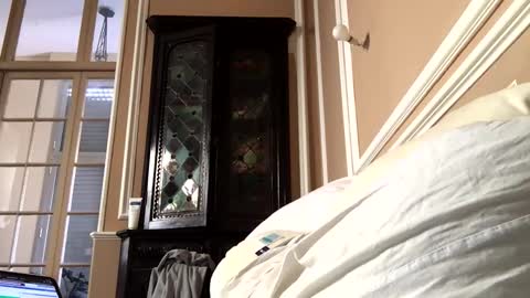 Snapshot of adrienfromparis chatting on March 2026 08:07:01 AM adrienfromparis online show from March 2026 08:07:01 AM