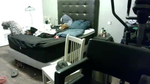 Snapshot of adventurecouple2641583 chatting on January 2025 06:13:02 AM adventurecouple2641583 online show from January 2025 06:13:02 AM