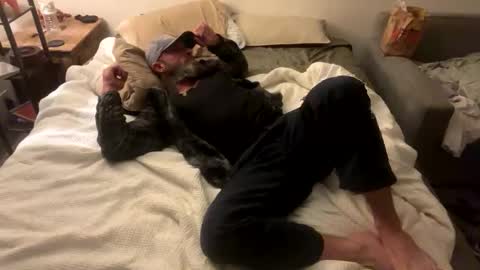 Snapshot of afcrider chatting on November 2025 02:42:02 PM afcrider online show from November 2025 02:42:02 PM