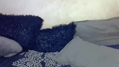 Snapshot of afrii_kity chatting on April 2026 03:42:01 AM afrii_kity online show from April 2026 03:42:01 AM