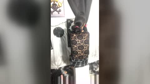 Snapshot of afroluz chatting on April 2026 02:20:01 AM afroluz online show from April 2026 02:20:01 AM