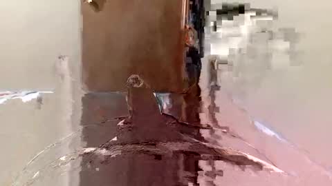 Snapshot of agoodsatyr chatting on February 2025 05:57:02 PM A Good Satyr online show from February 2025 05:57:02 PM