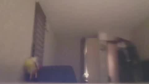 ahbehbi12 online show from March 2025 07:40:01 PM