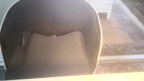 Snapshot of ahmole chatting on January 2025 09:34:01 AM Ole online show from January 2025 09:34:01 AM