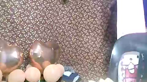 Snapshot of aislahrose chatting on February 2025 03:17:01 PM rosie online show from February 2025 03:17:01 PM