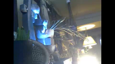 ajstevens326 online show from November 2025 11:11:02 AM