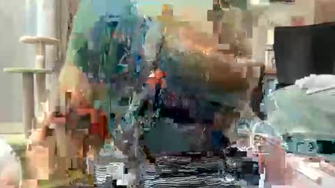 Snapshot of akirazayy chatting on March 2026 07:54:02 AM Akira Zay online show from March 2026 07:54:02 AM