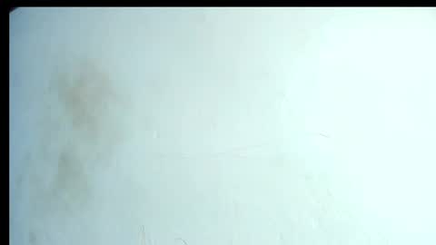 Snapshot of alahia66 chatting on April 2026 02:56:01 PM alahia66 online show from April 2026 02:56:01 PM