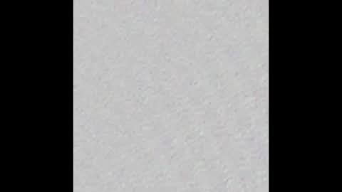 Alaia online show from October 2025 11:33:02 AM