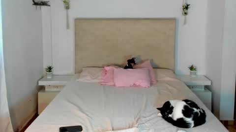 Snapshot of alana__get chatting on March 2026 02:22:02 PM online show from March 2026 02:22:02 PM